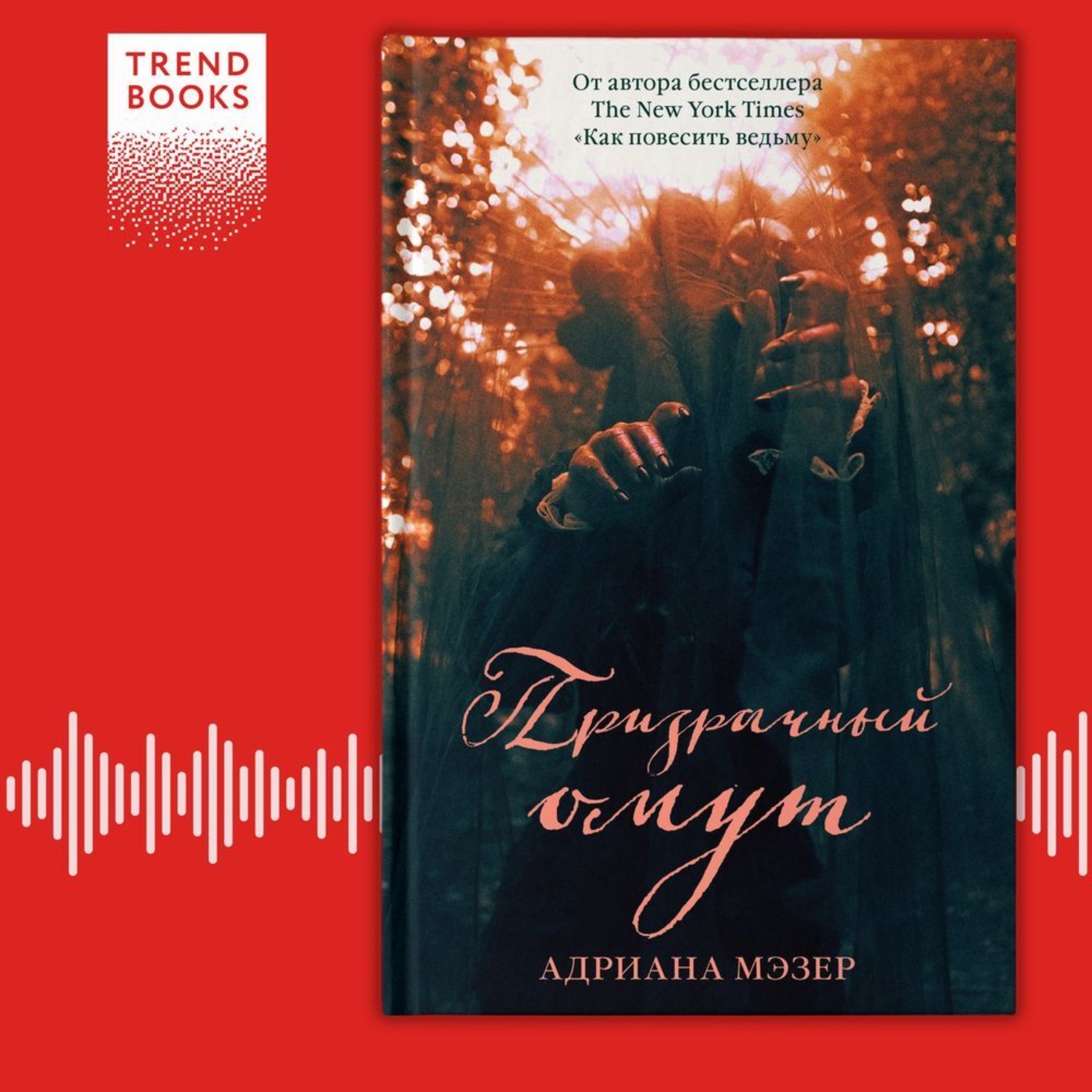 Обложка книги «Призрачный омут»
