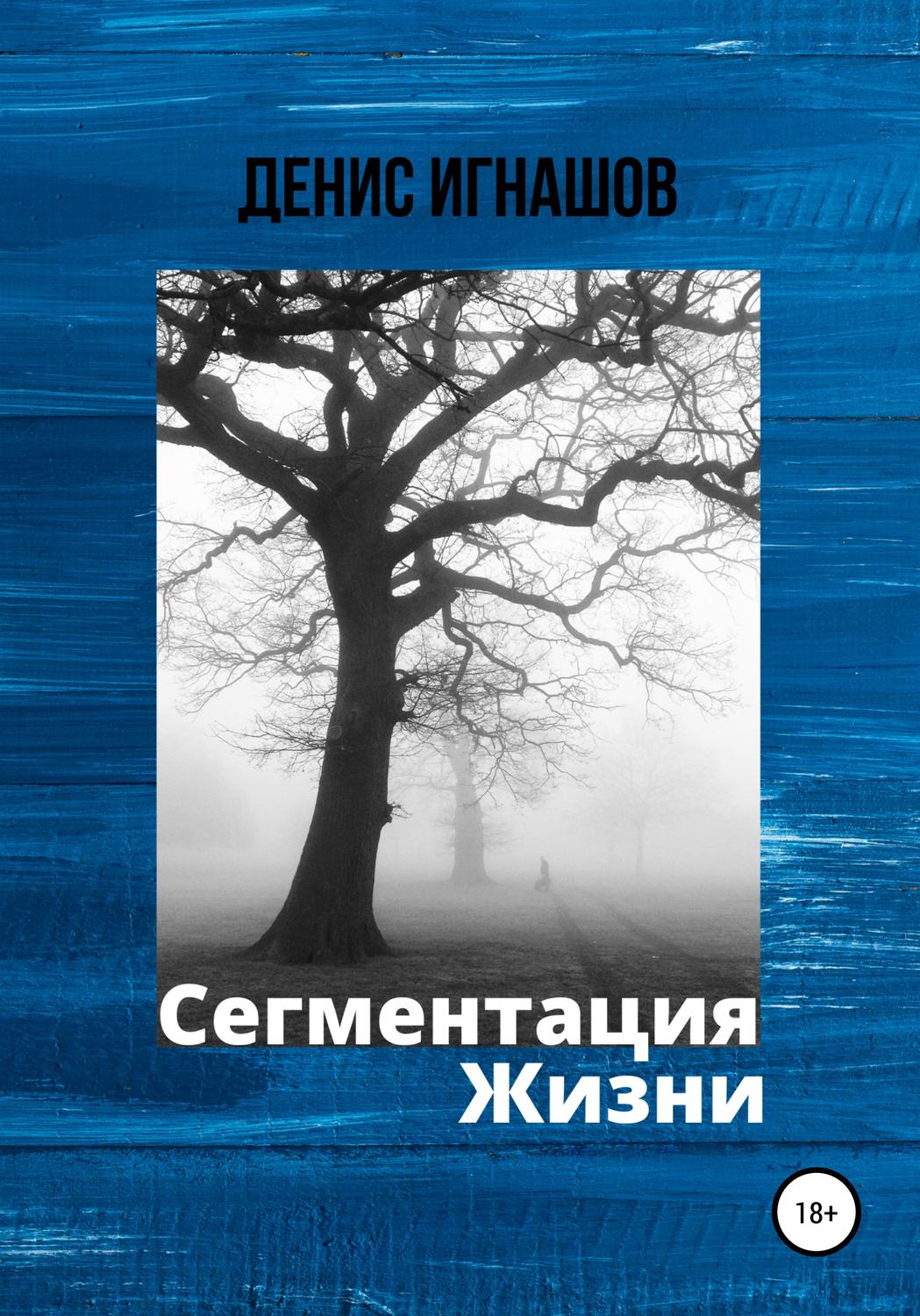 Обложка книги «Сегментация Жизни»
