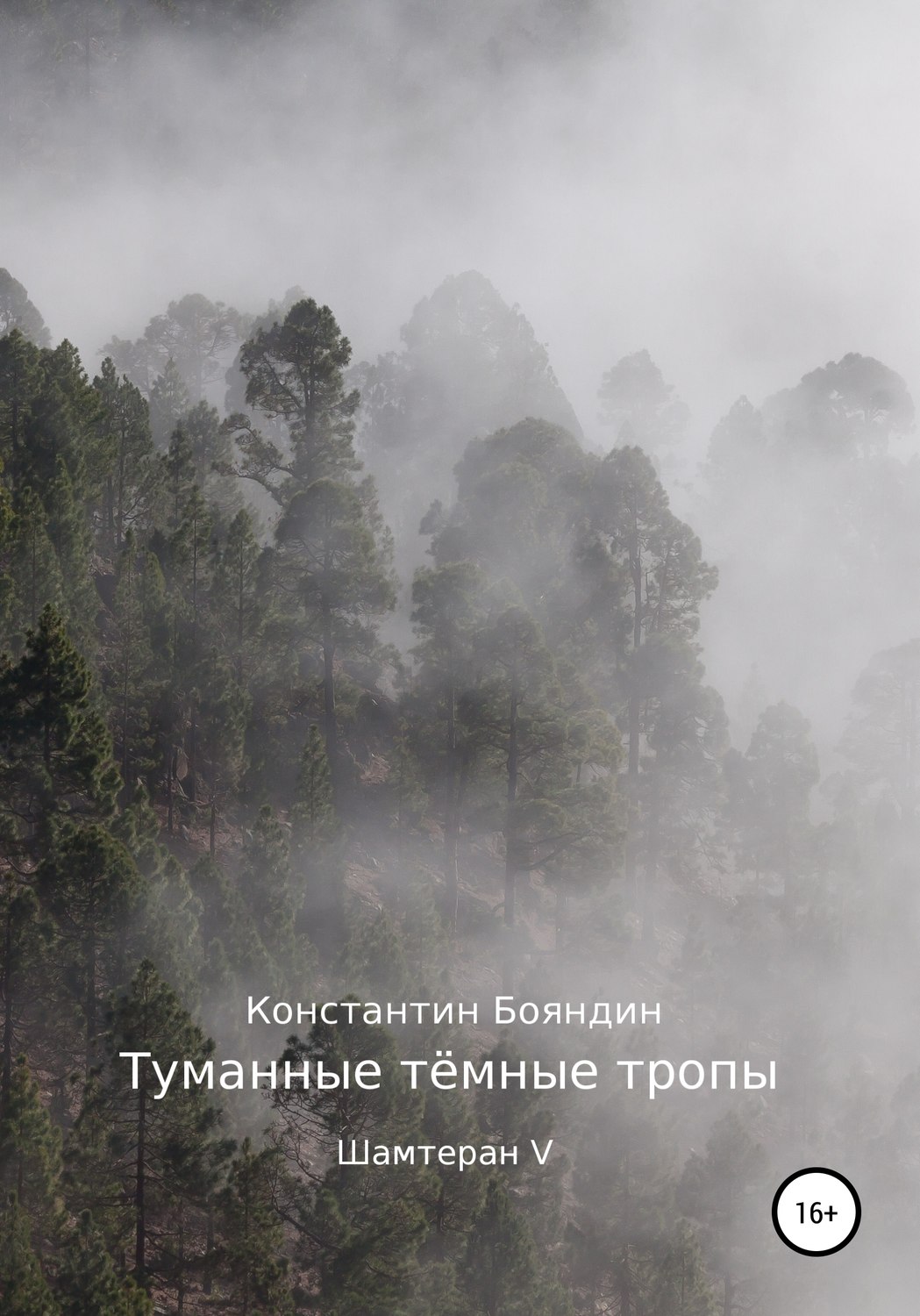 Обложка книги «Туманные тёмные тропы»