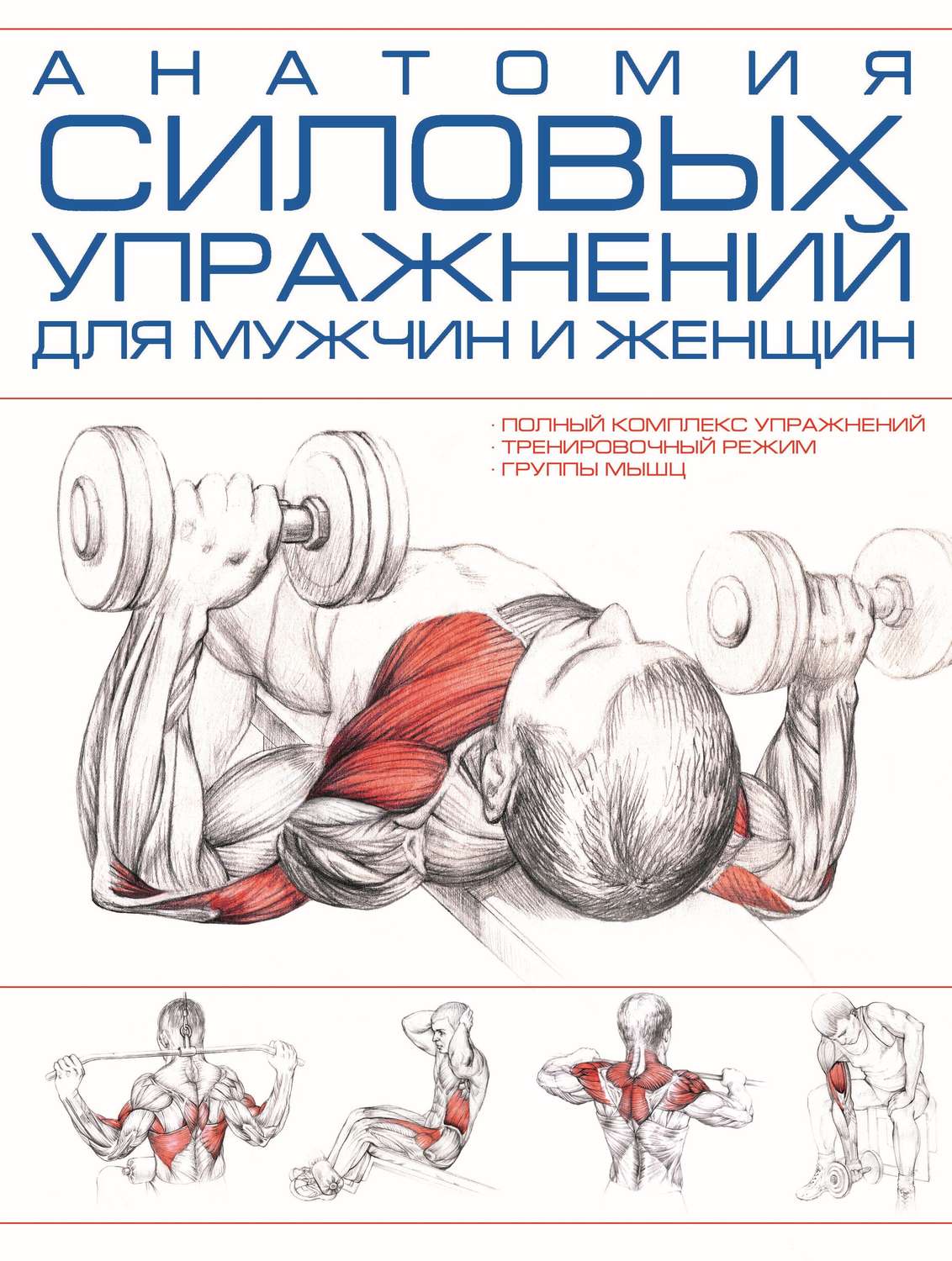 Обложка книги «Анатомия силовых упражнений для мужчин и женщин»