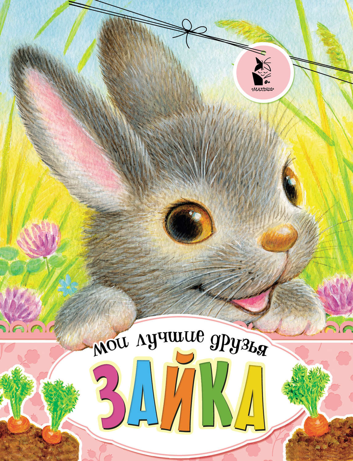 Обложка книги «Зайка»