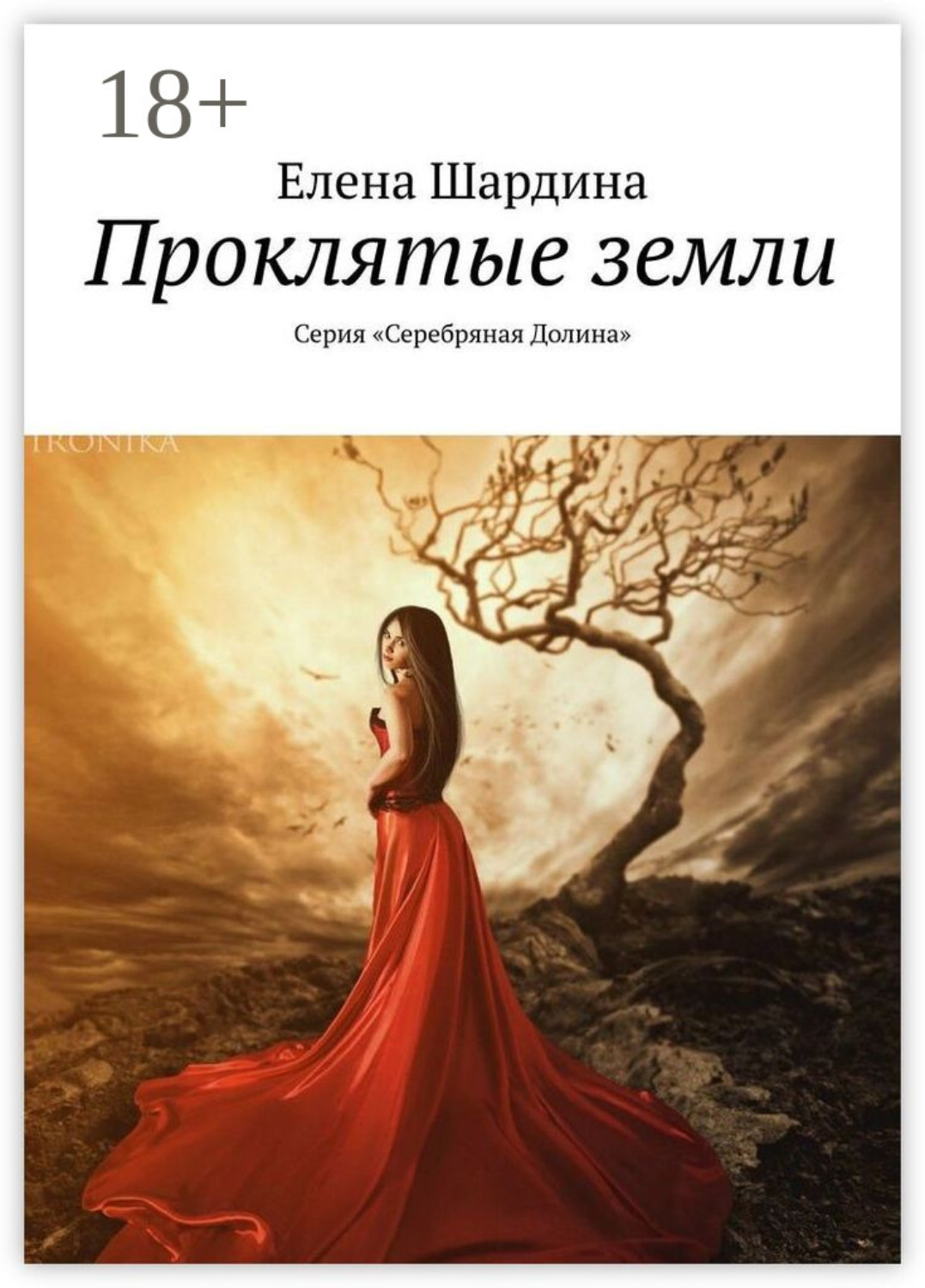 Обложка книги «Проклятые земли. Серия «Серебряная Долина»»