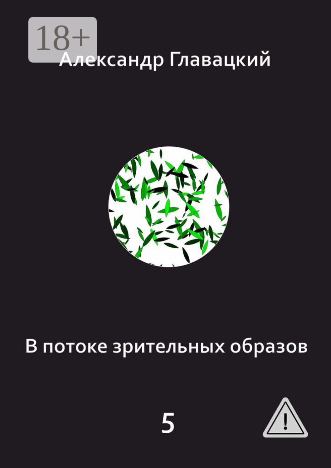 Обложка книги «В потоке зрительных образов – 5»