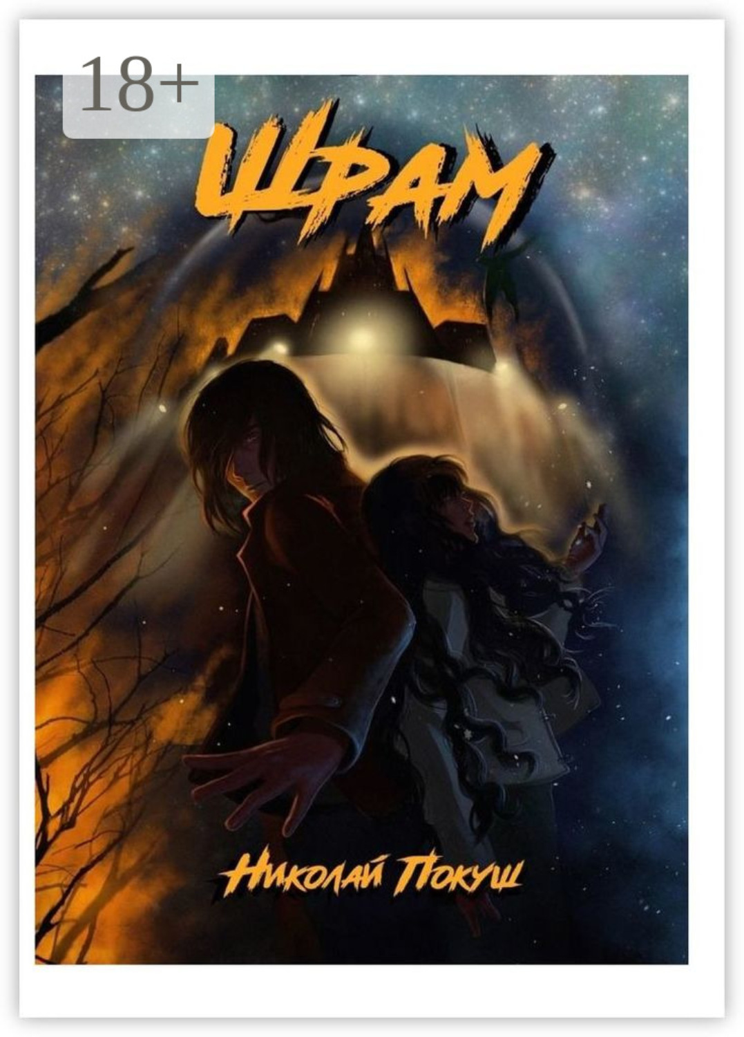 Обложка книги «Шрам»