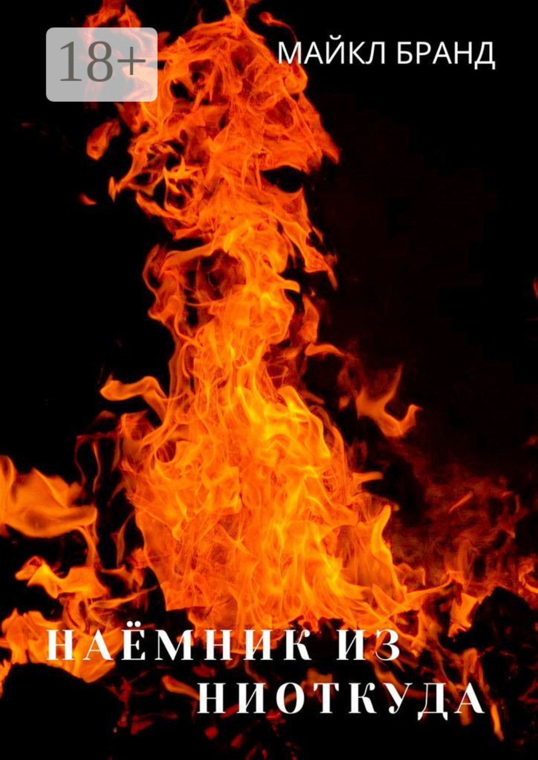 Обложка книги «Наёмник из ниоткуда»