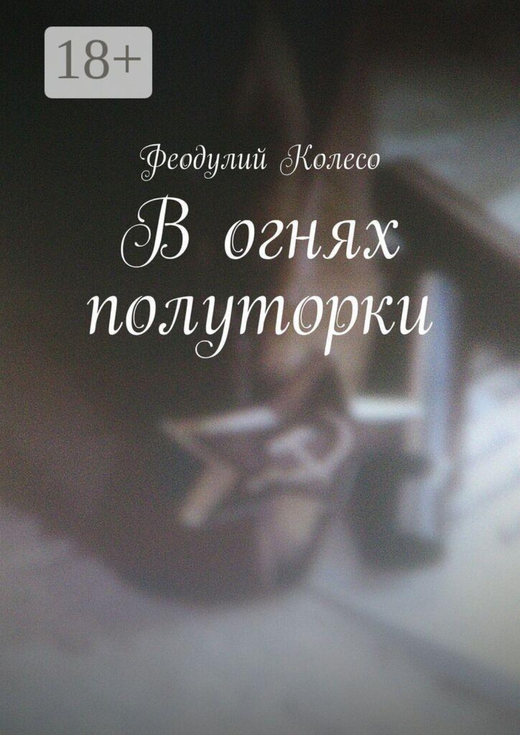Обложка книги «В огнях полуторки»