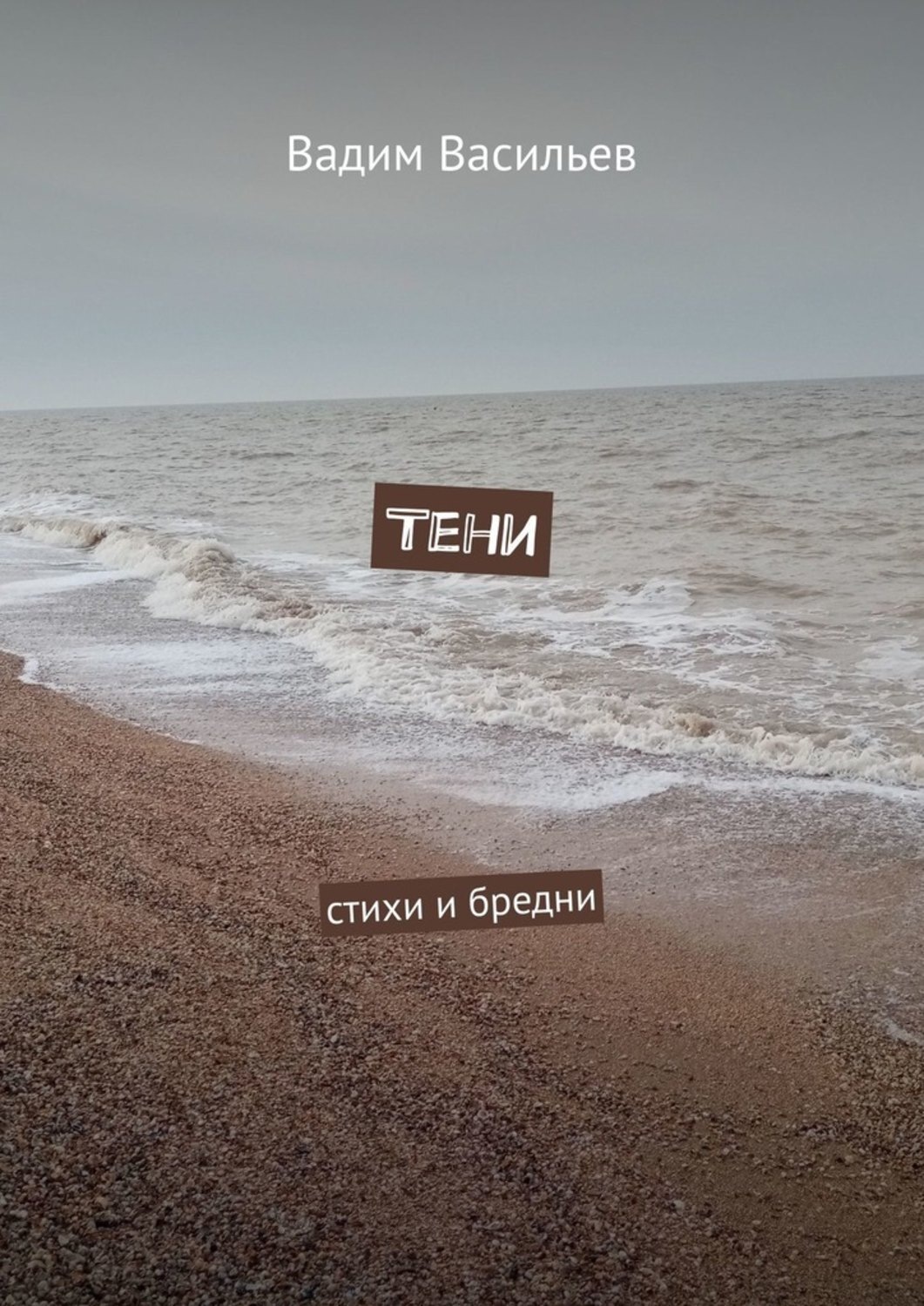 Обложка книги «Тени. Стихи и бредни»