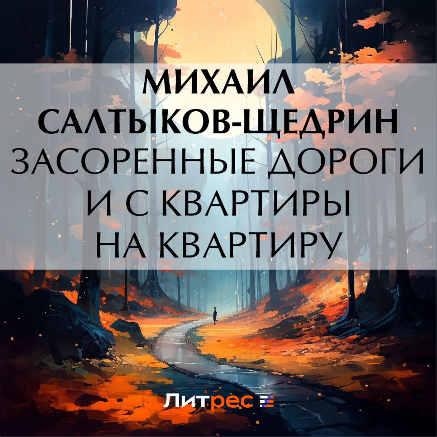 Обложка книги «Засоренные дороги и с квартиры на квартиру»