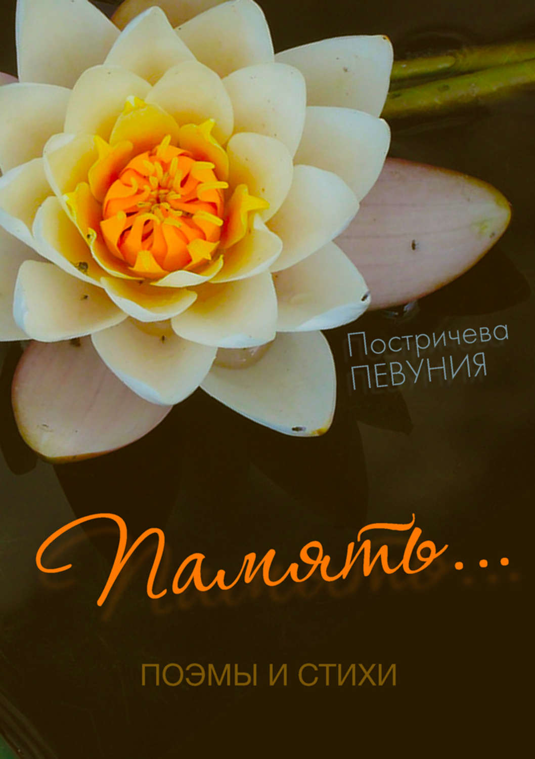 Обложка книги «Память»
