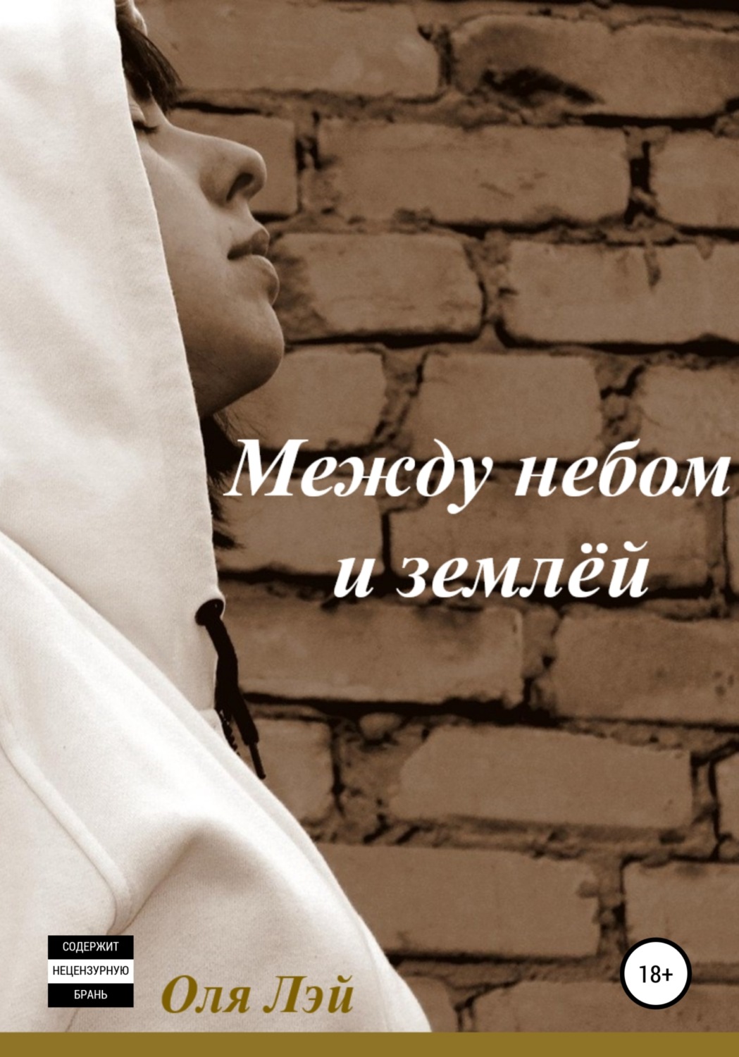 Обложка книги «Между небом и землей»