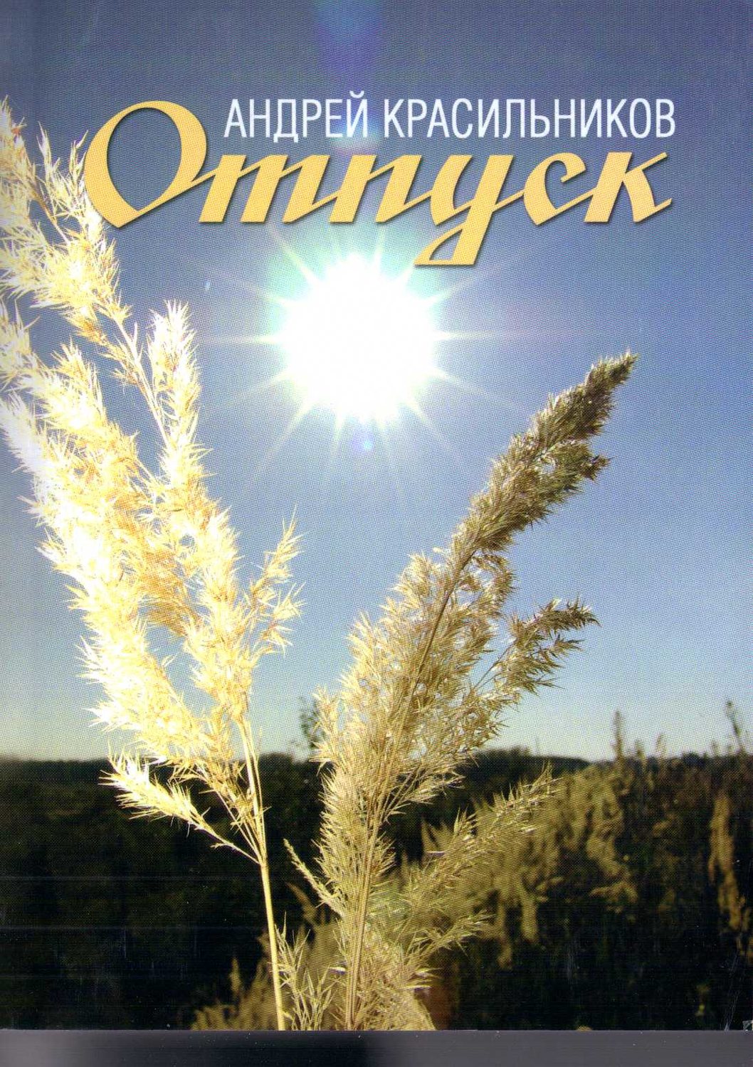 Обложка книги «Отпуск»