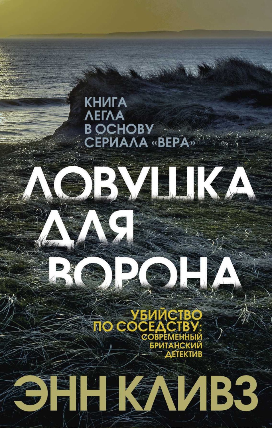 Обложка книги «Ловушка для ворона»