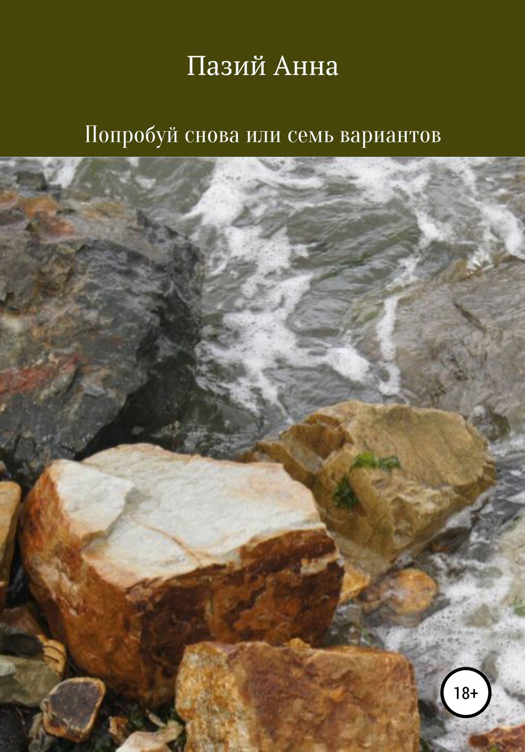 Обложка книги «Попробуй снова или семь вариантов»