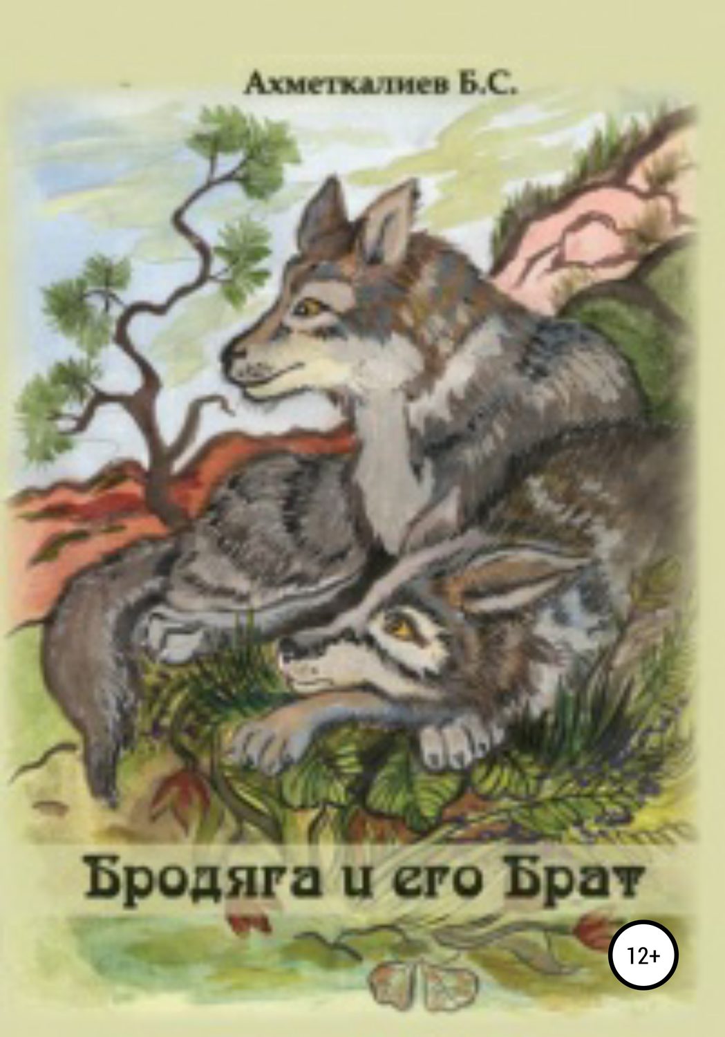 Обложка книги «Бродяга и его брат»