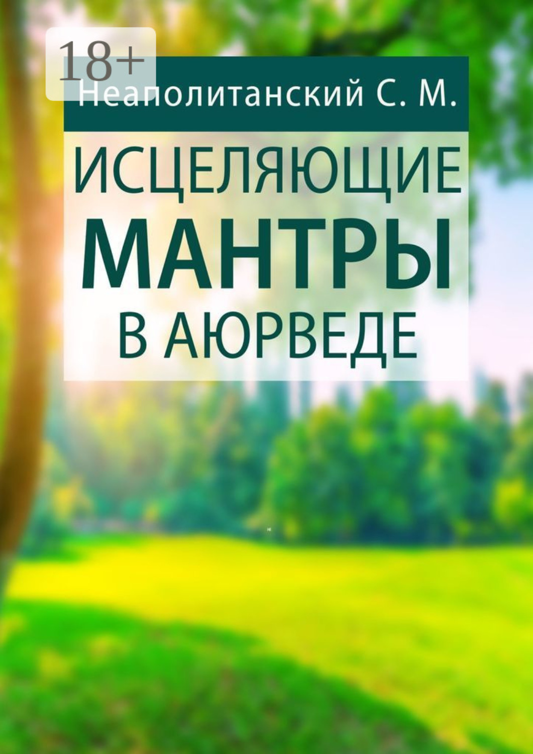 Обложка книги «Исцеляющие мантры в Аюрведе»