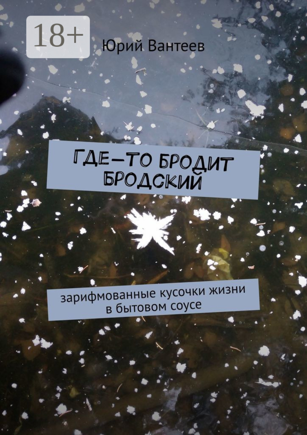 Обложка книги «Где-то бродит Бродский. Зарифмованные кусочки жизни в бытовом соусе»