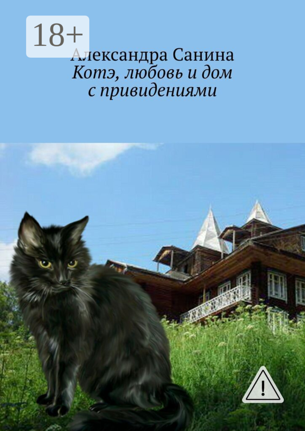 Обложка книги «Котэ, любовь и дом с привидениями»