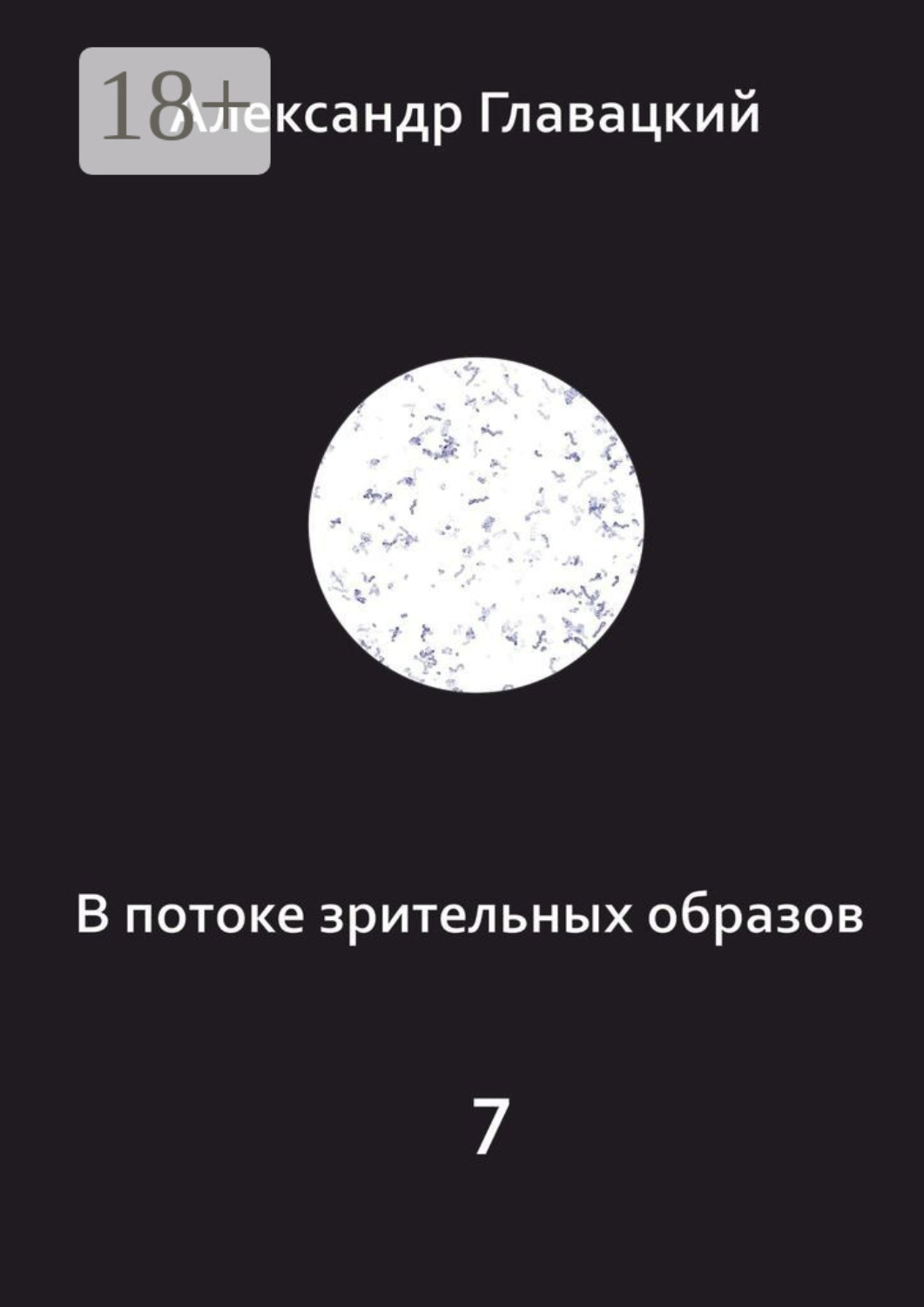 Обложка книги «В потоке зрительных образов – 7»