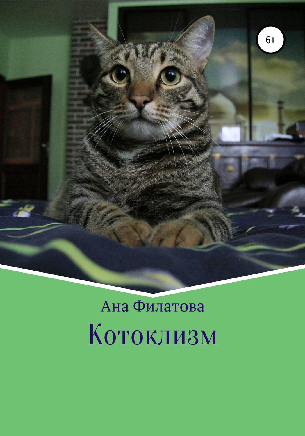 Обложка книги «Котоклизм»