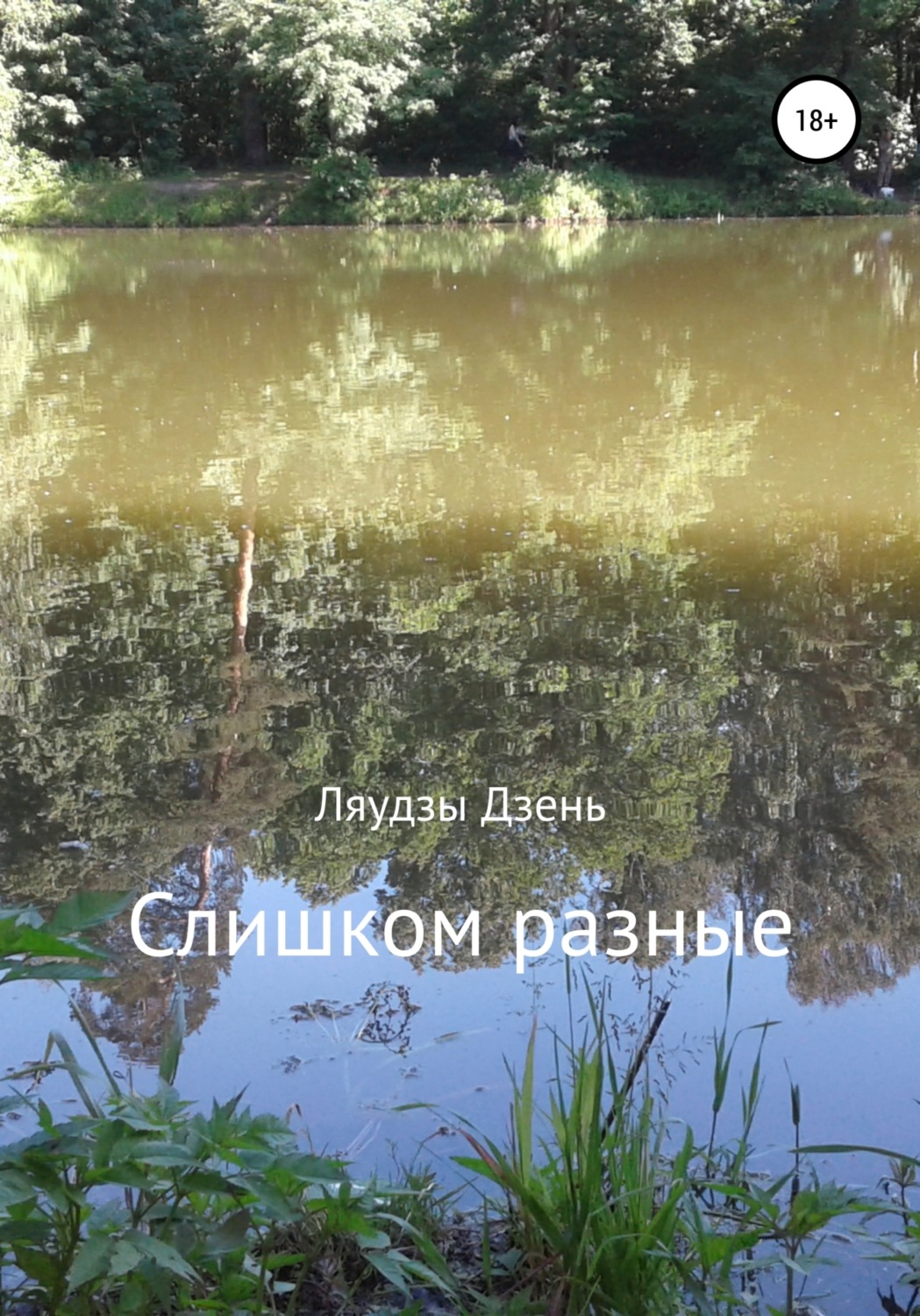 Обложка книги «Слишком разные»
