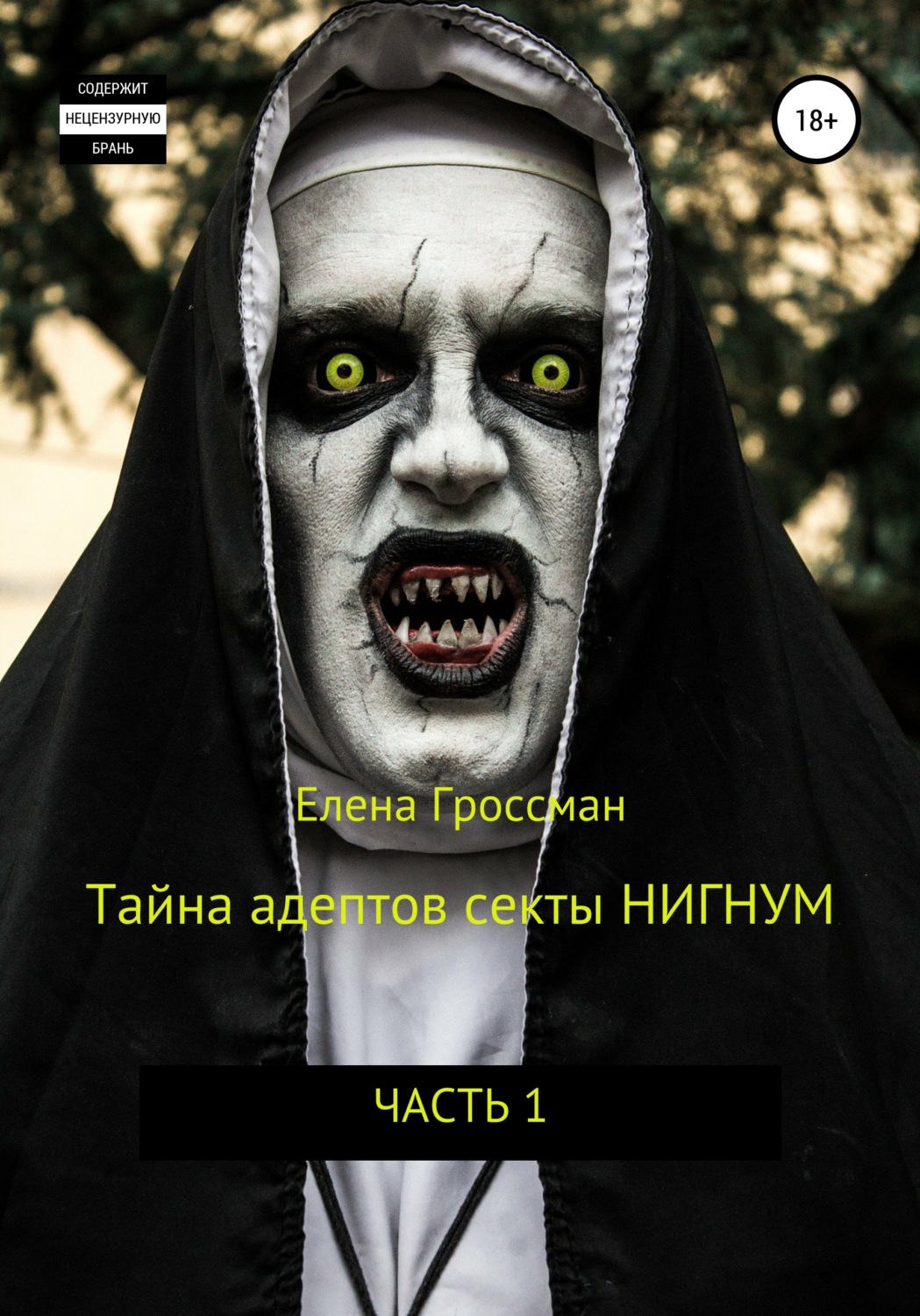 Обложка книги «Тайна адептов секты «Нигнум»»