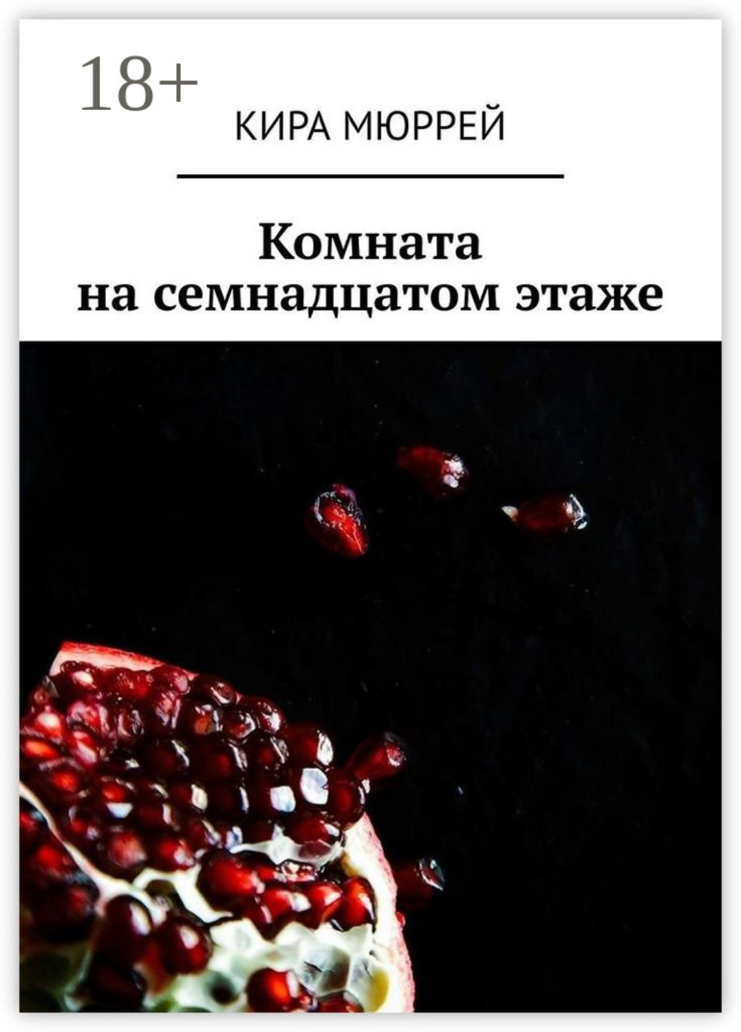 Обложка книги «Комната на семнадцатом этаже»