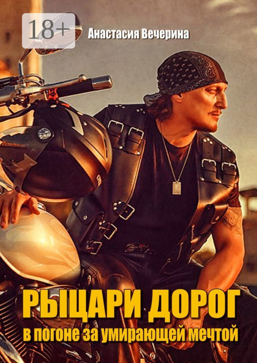 Обложка книги «Рыцари дорог. В погоне за умирающей мечтой»