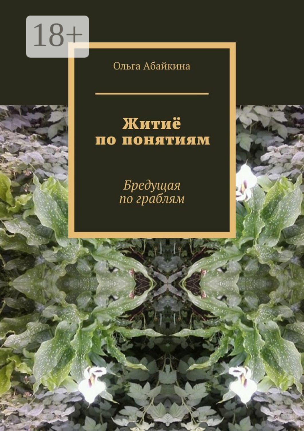 Обложка книги «Житиё по понятиям. Бредущая по граблям»