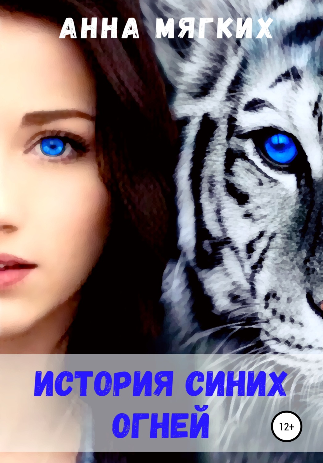 Обложка книги «История Синих Огней»