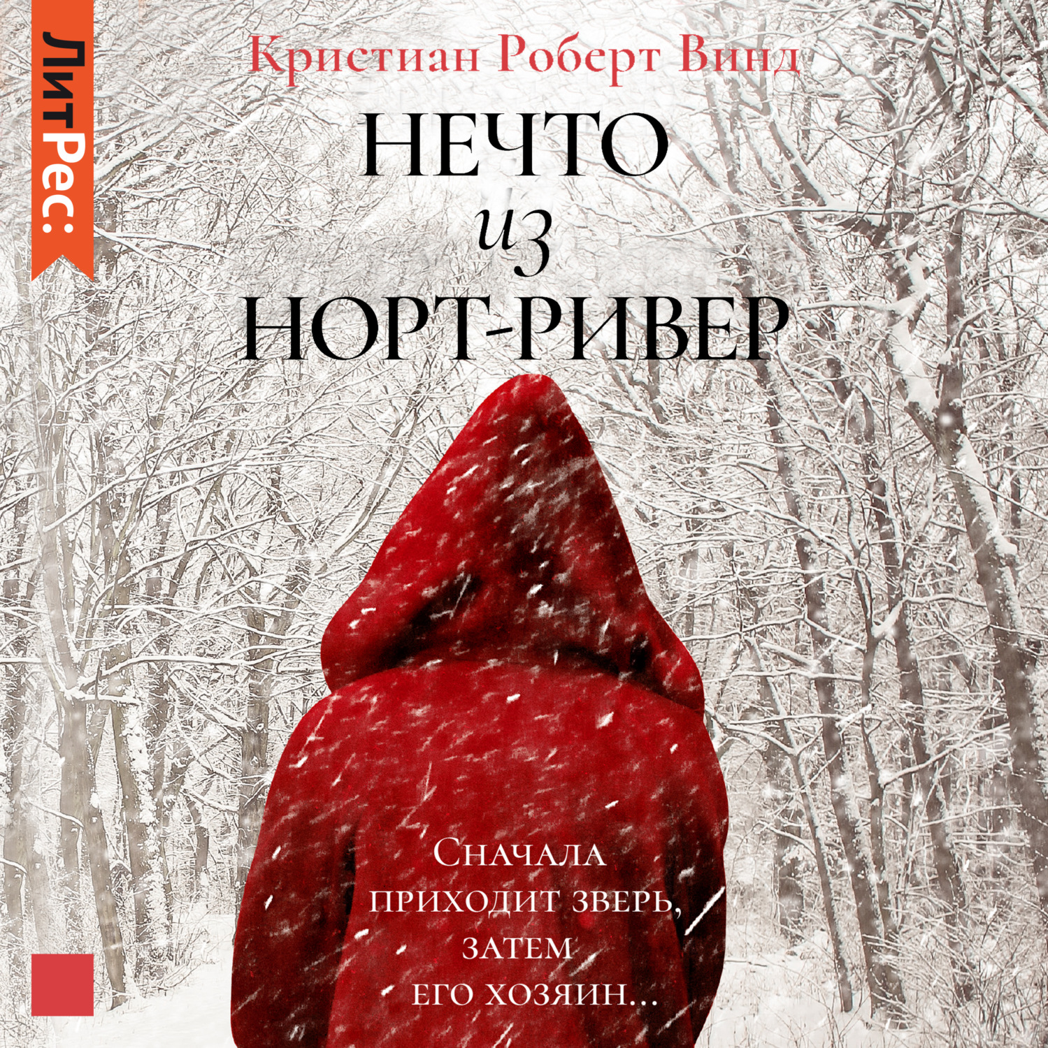 Обложка книги «Нечто из Норт Ривер»