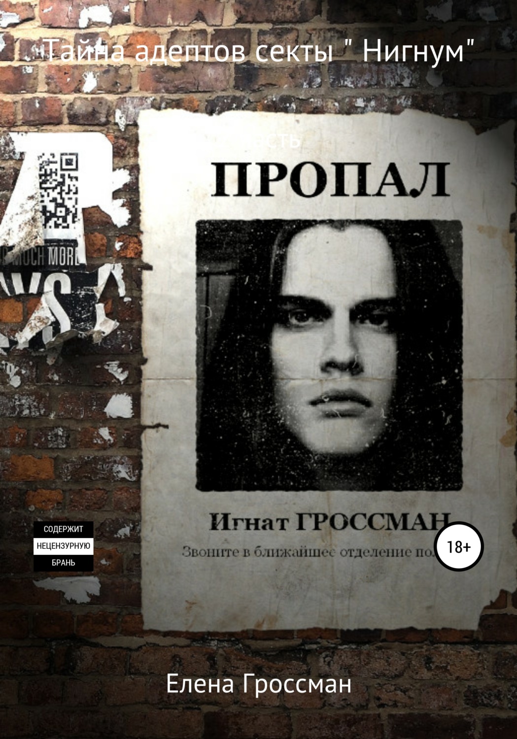 Обложка книги «Тайна адептов секты «Нигнум». Часть 2»