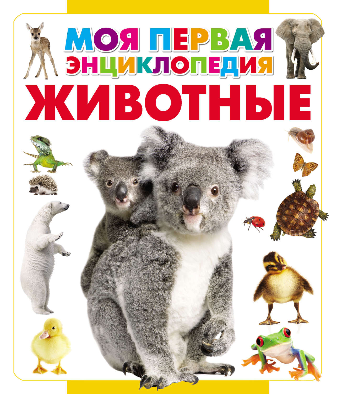 Обложка книги «Животные»
