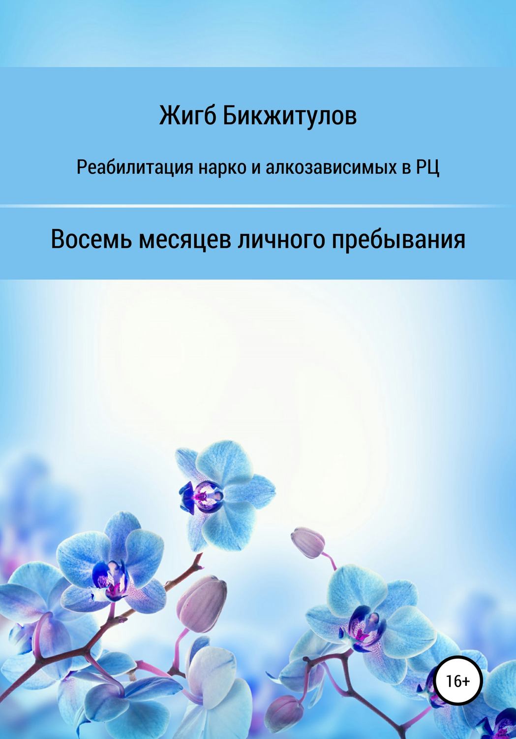 Обложка книги «Реабилитация нарко- и алкозависимых в РЦ. Восемь месяцев личного пребывания»