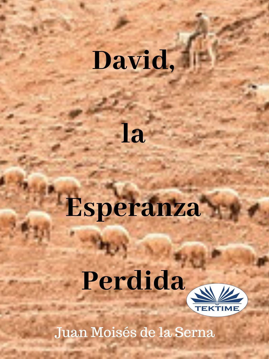 Обложка книги «David, La Esperanza Perdida»