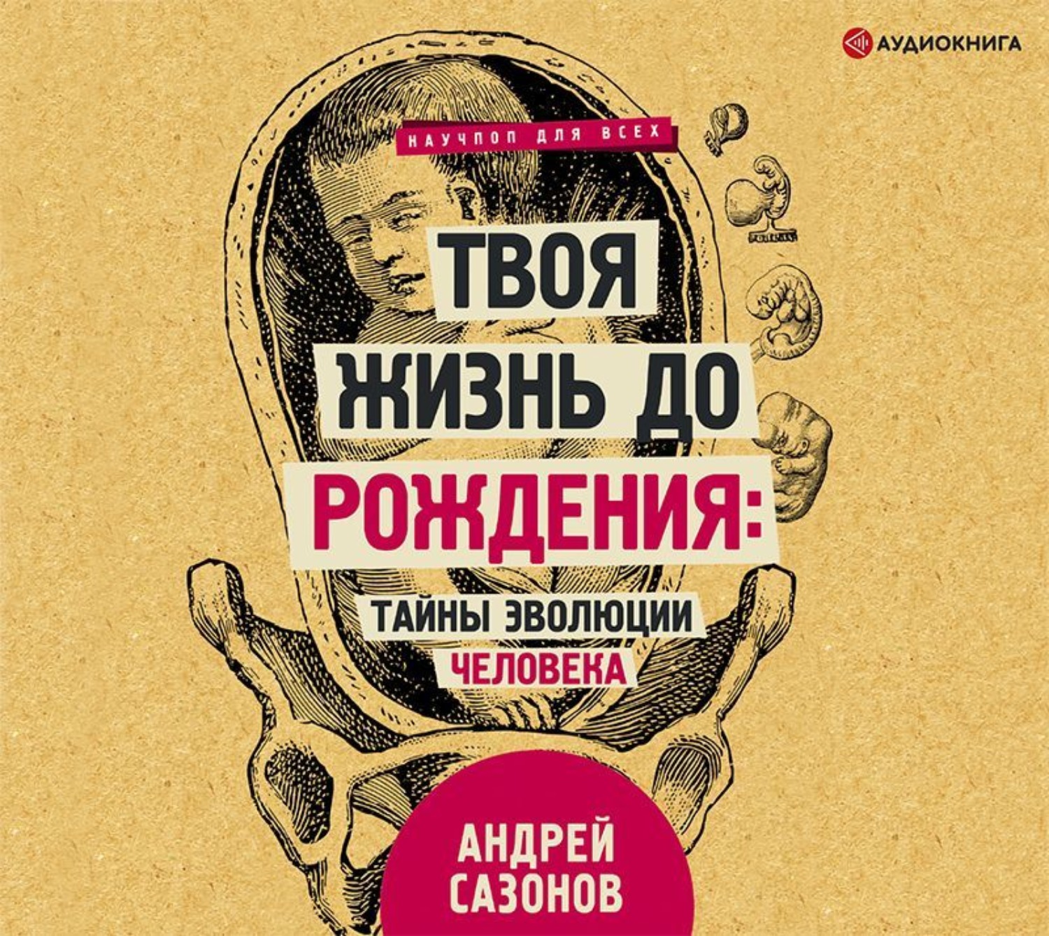 Обложка книги «Твоя жизнь до рождения: тайны эволюции человека»