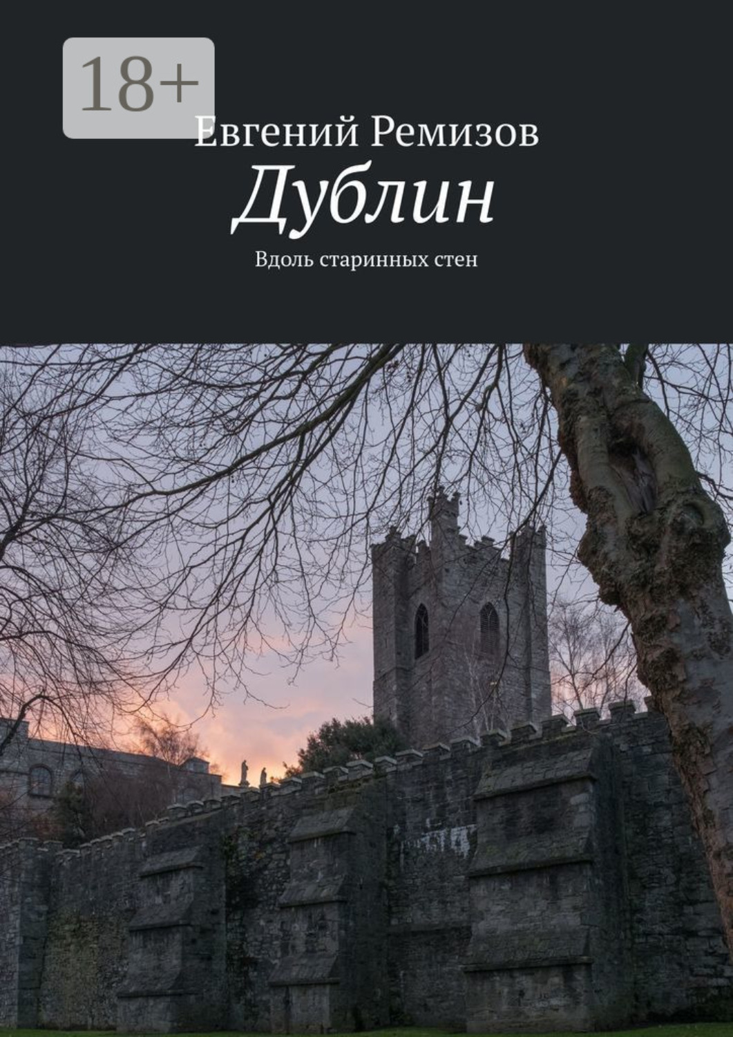 Обложка книги «Дублин. Вдоль старинных стен»