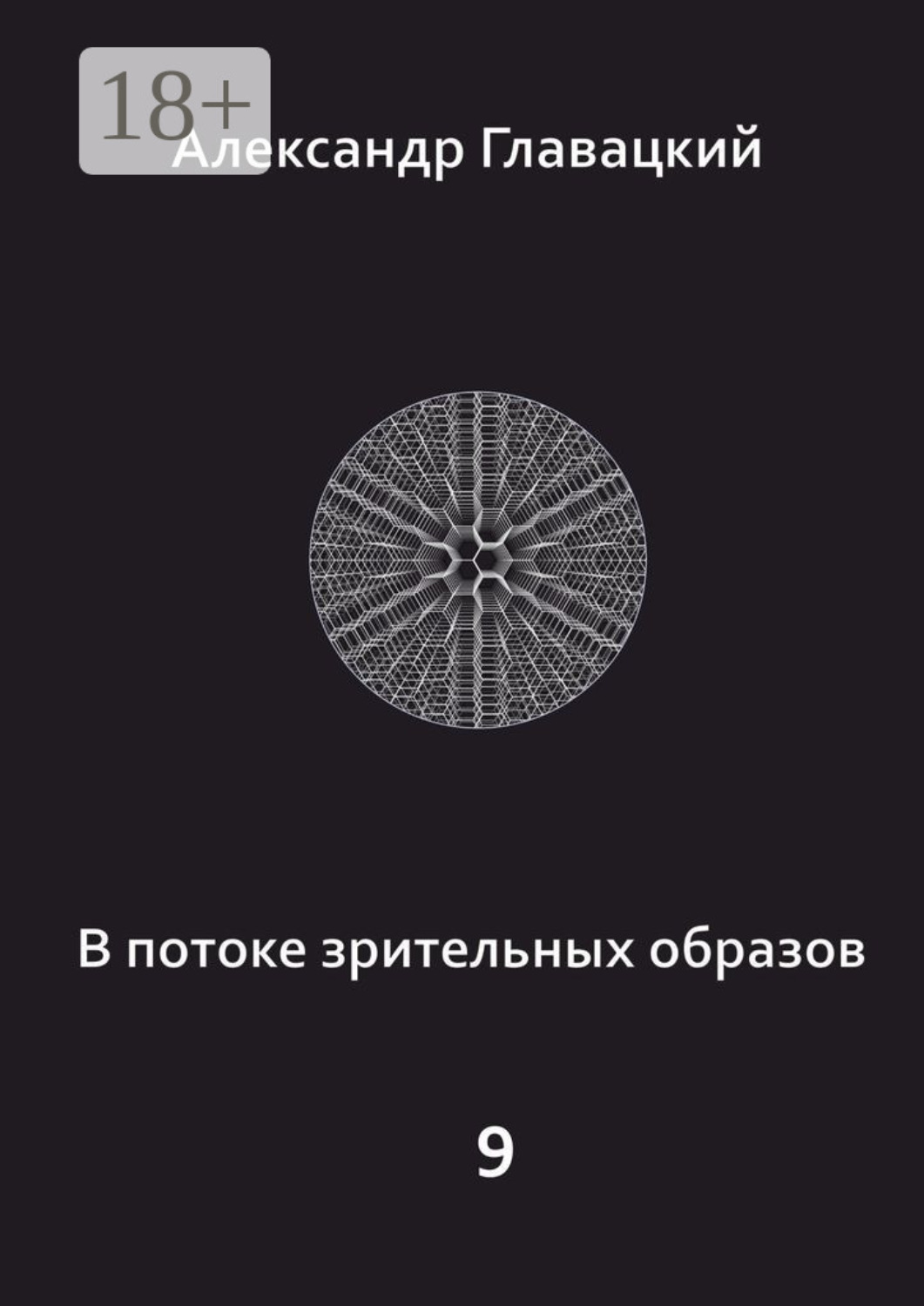 Обложка книги «В потоке зрительных образов – 9»
