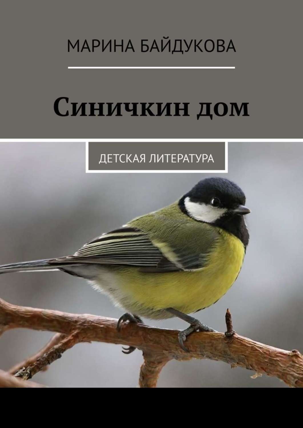 Обложка книги «Синичкин дом. Детская литература»