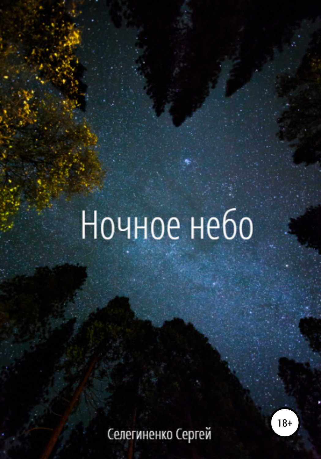 Обложка книги «Ночное небо»