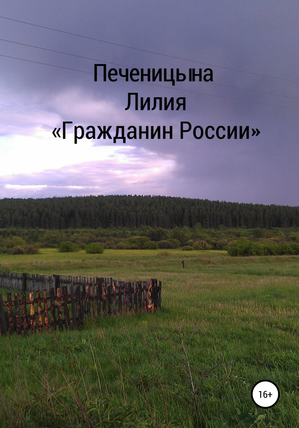 Обложка книги «Гражданин России»