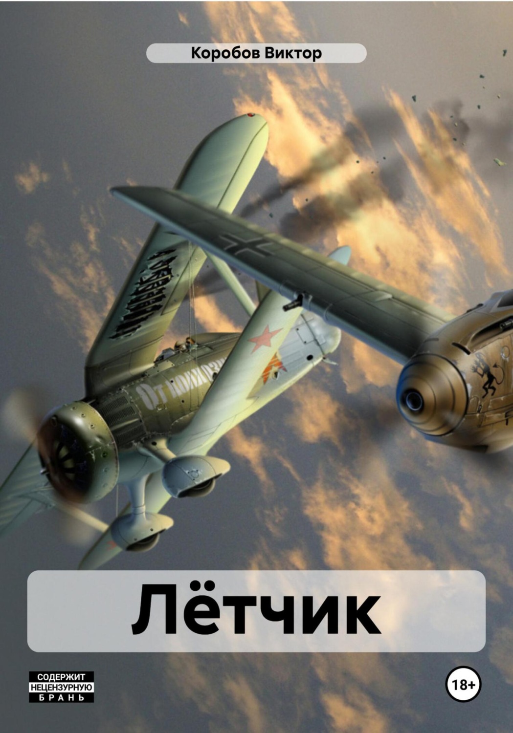 Обложка книги «Лётчик»
