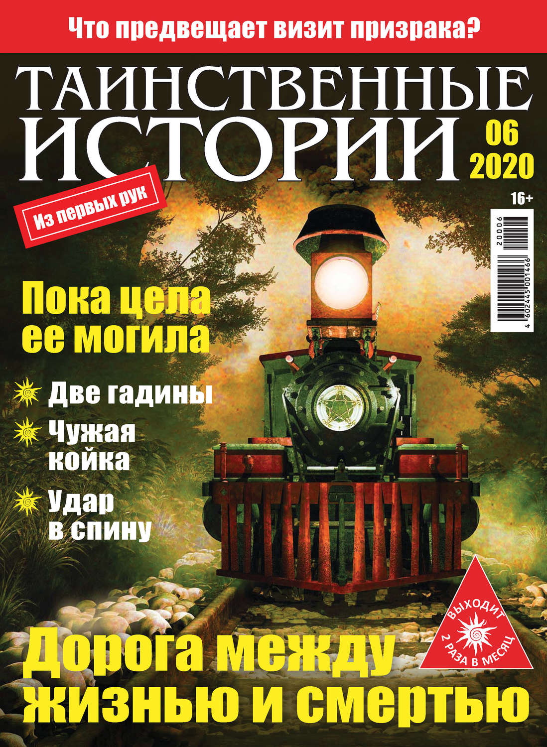 Обложка книги «Таинственные истории №06/2020»