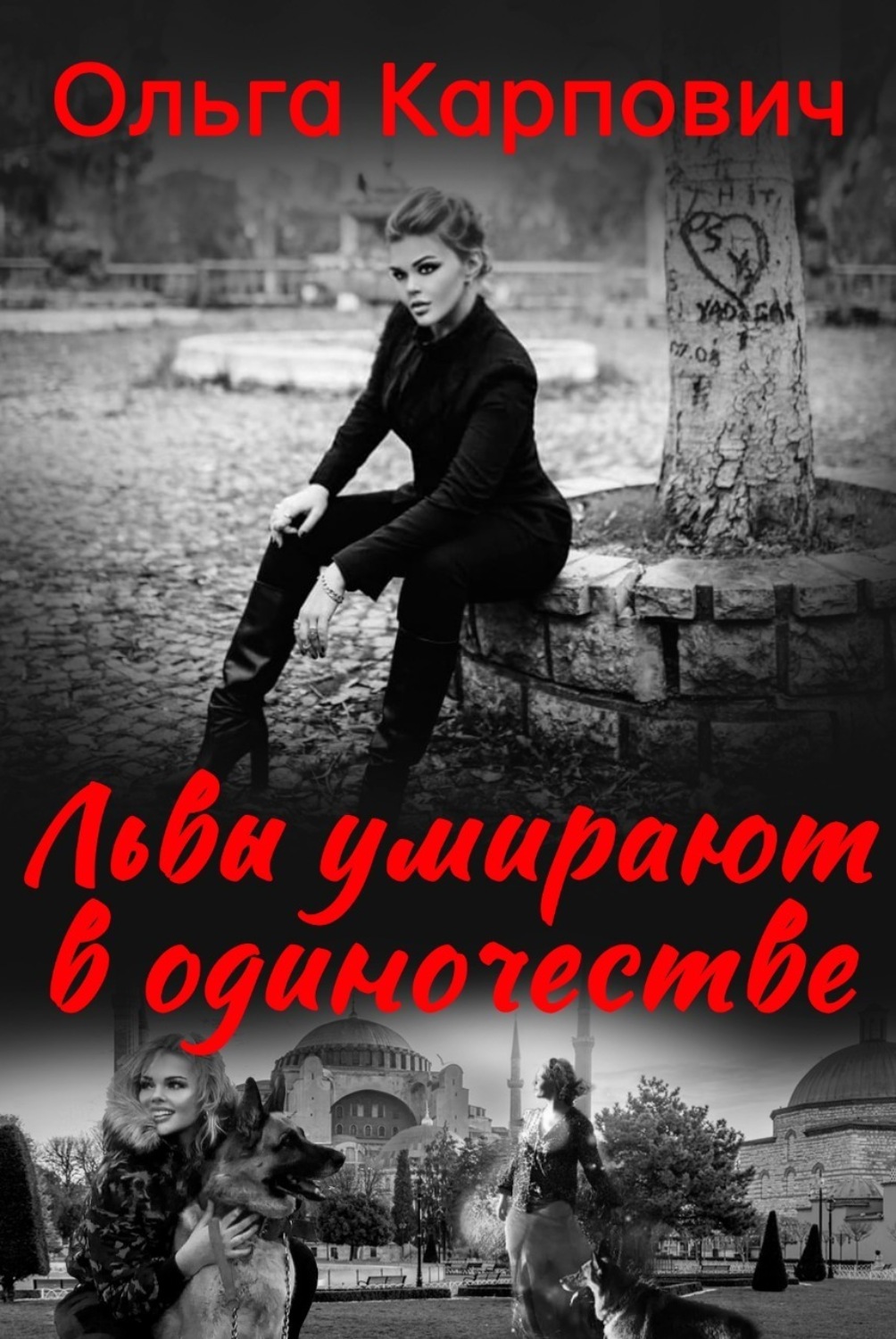 Обложка книги «Львы умирают в одиночестве»