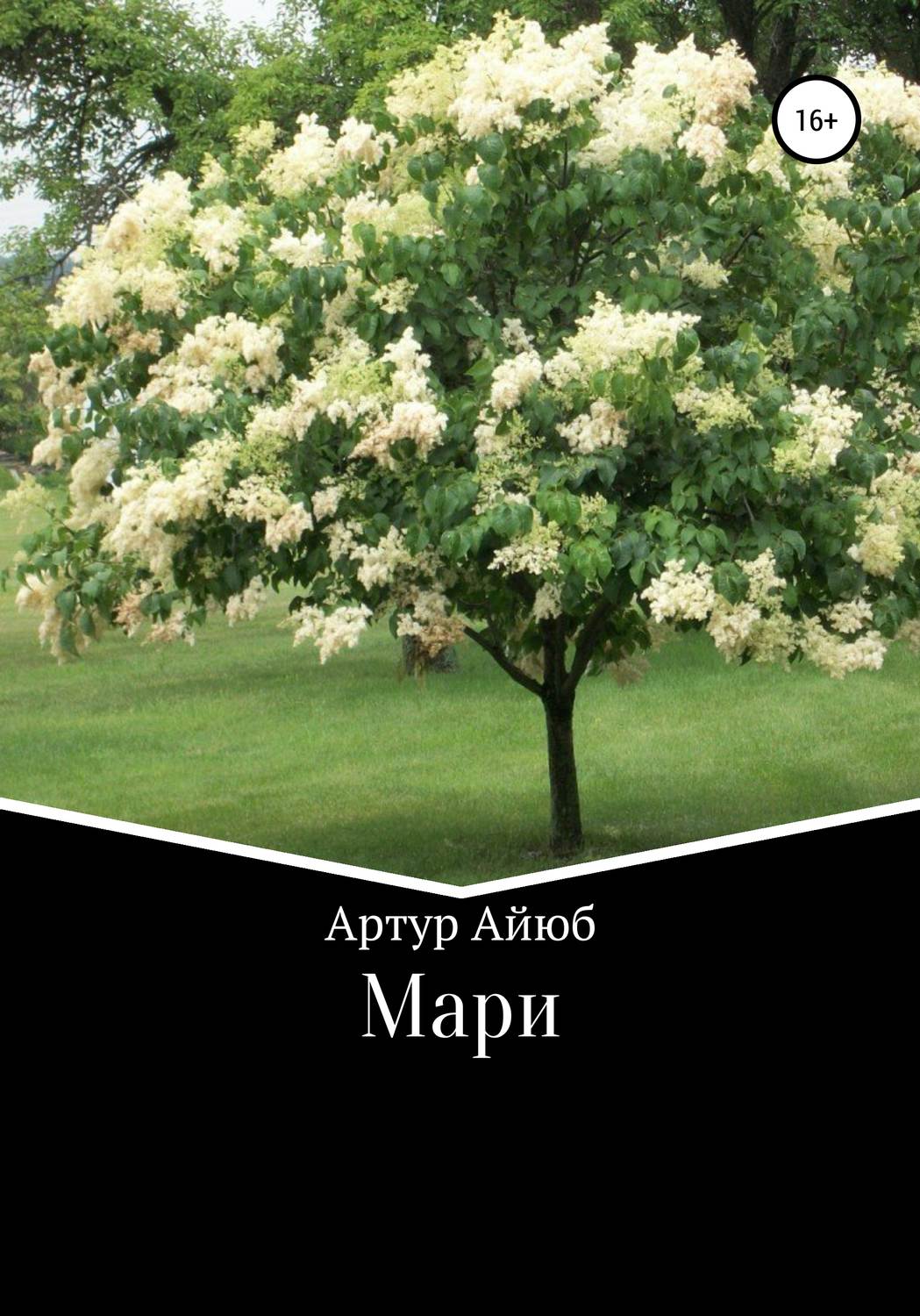 Обложка книги «Мари»