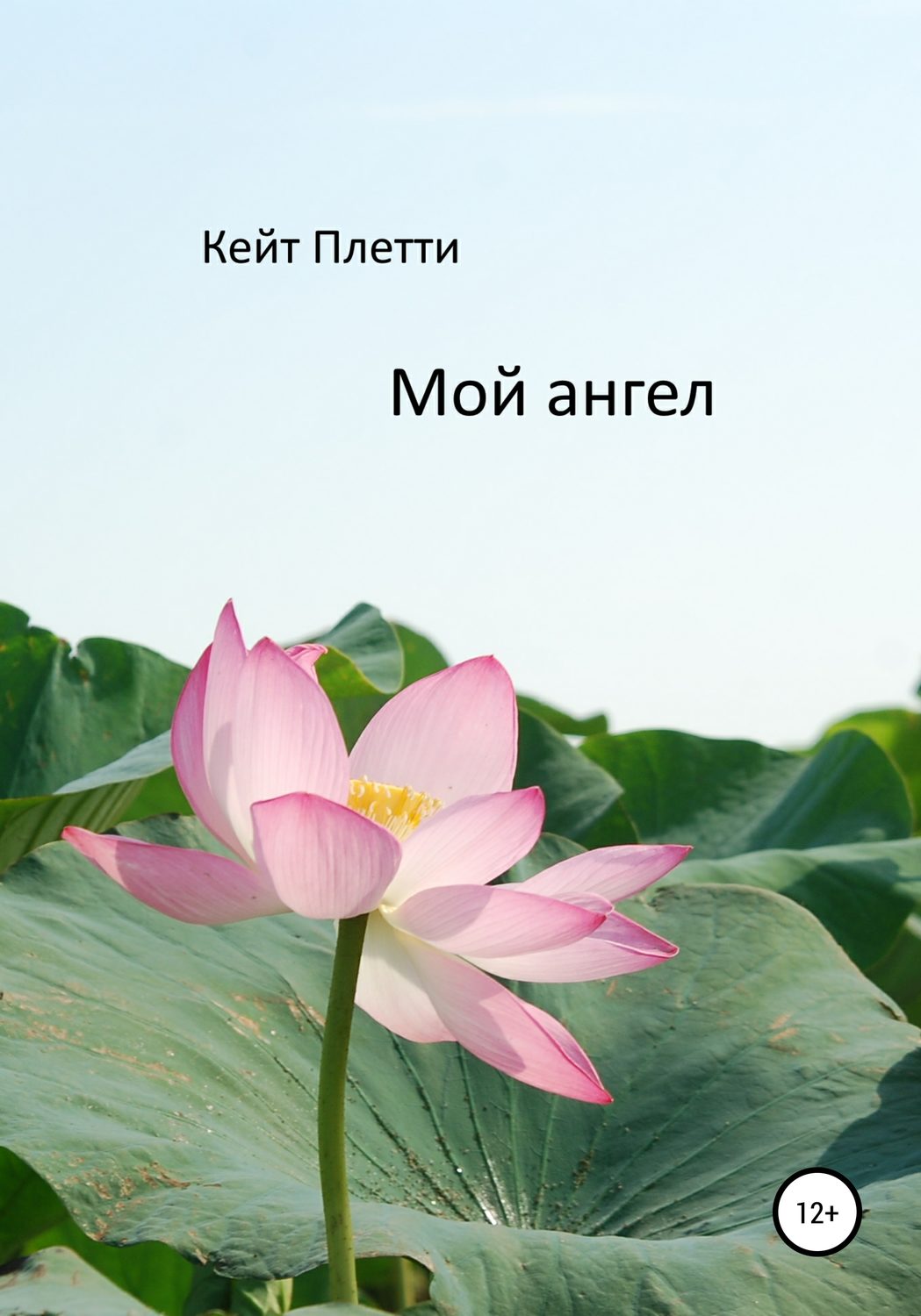 Обложка книги «Мой ангел»