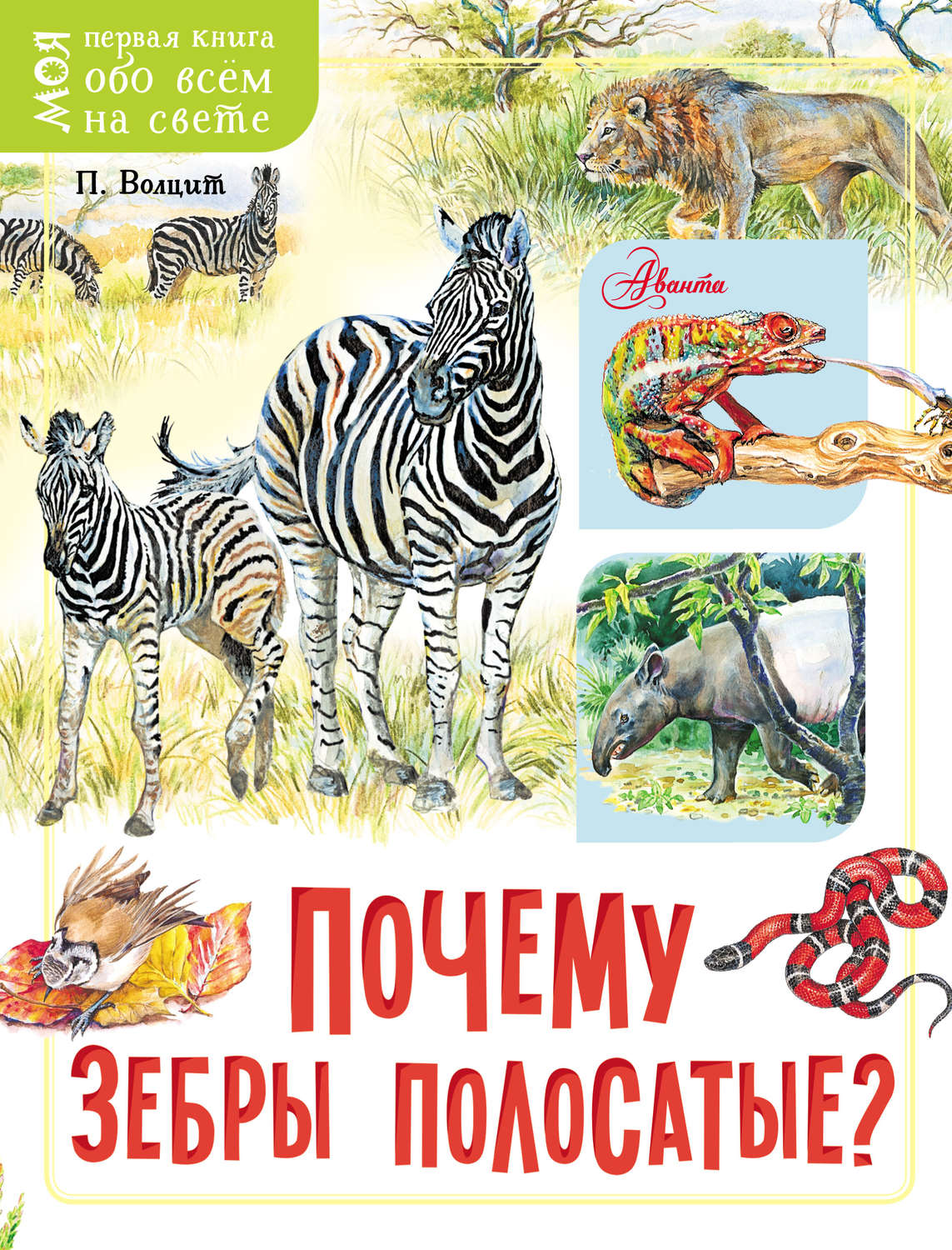 Обложка книги «Почему зебры полосатые?»
