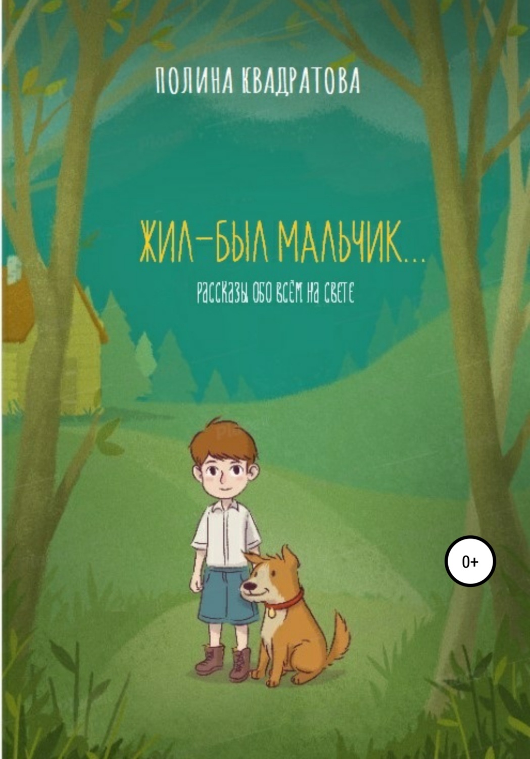 Обложка книги «Жил-был мальчик»