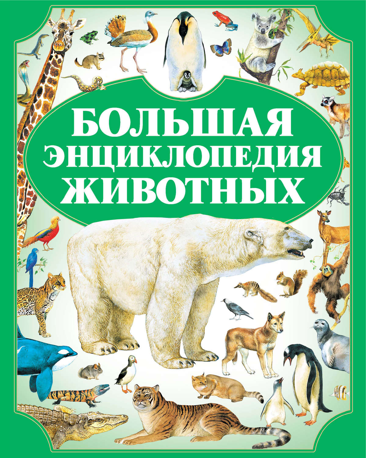 Обложка книги «Большая энциклопедия животных»