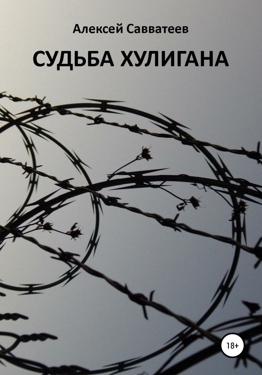 Обложка книги «Судьба хулигана»