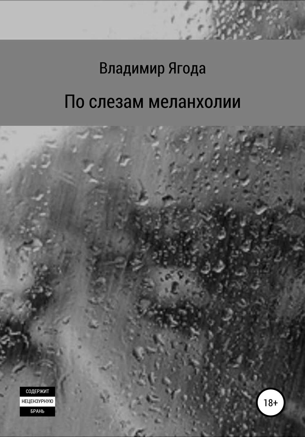 Обложка книги «По слезам меланхолии»